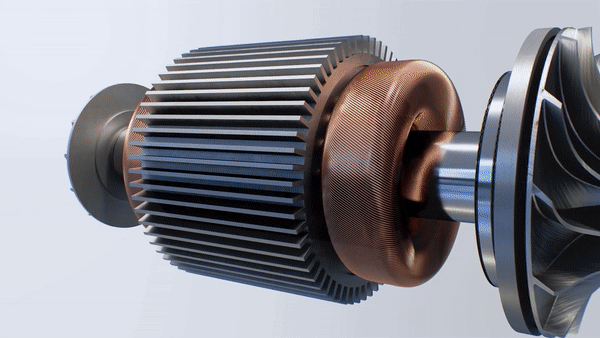 Reverse rotation occurs when PMSM detects polarity.